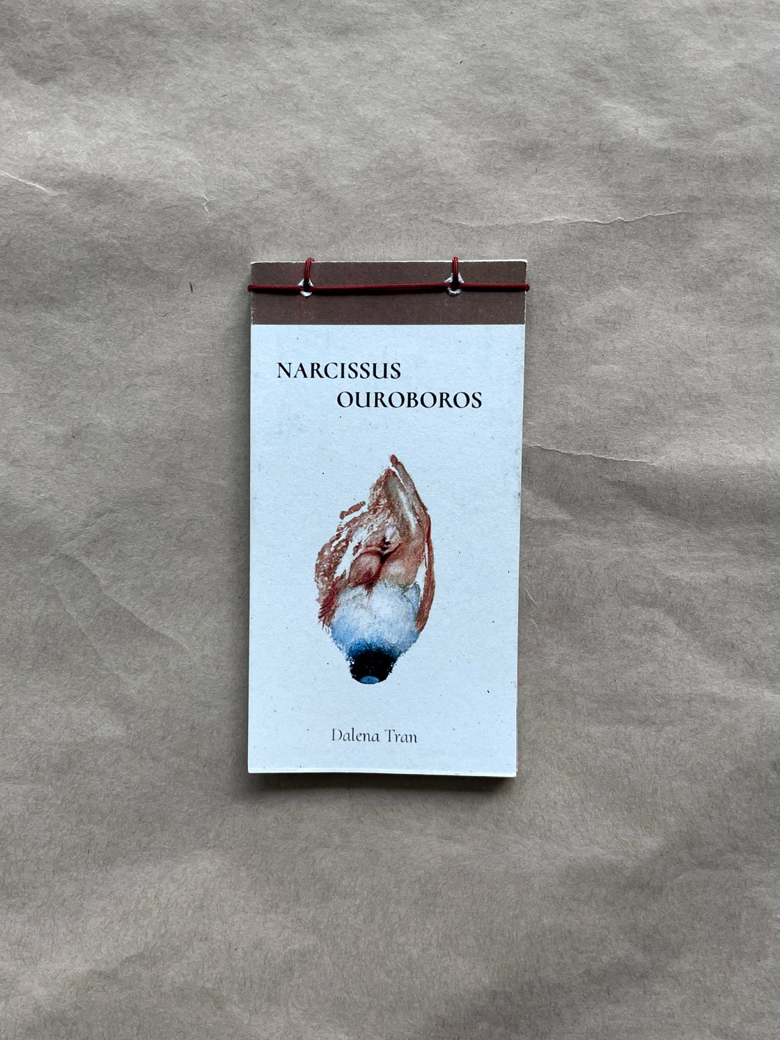 Image of Narcissus Ourobouros