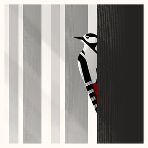 Image of Woodpecker Artprint (Square Version)