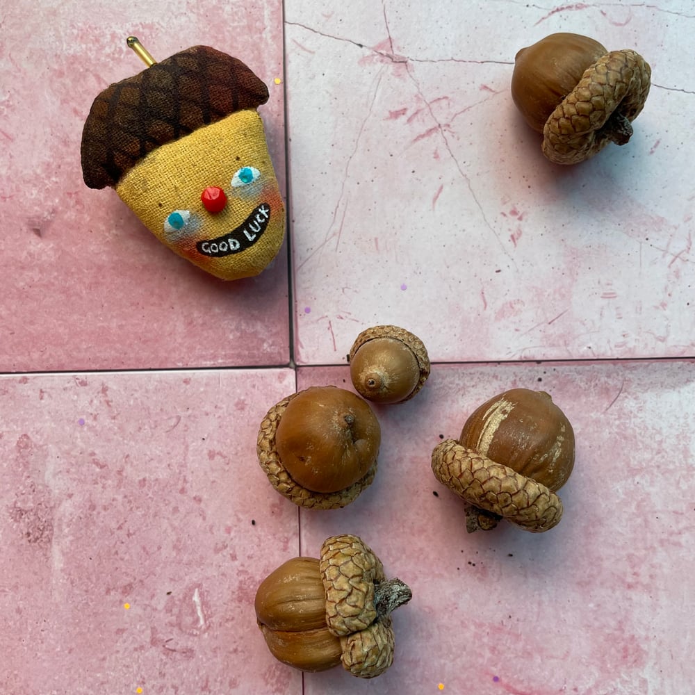 Image of Guardian Angelcorn #1