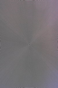 Image 2 of Big Dumb Burger "Centralla 2"