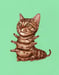Image of Mini Kittypillar Print and Sticker Sheet Pack SECOND LITTER!