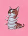 Image of Mini Kittypillar Print and Sticker Sheet Pack SECOND LITTER!
