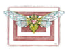 Cicada