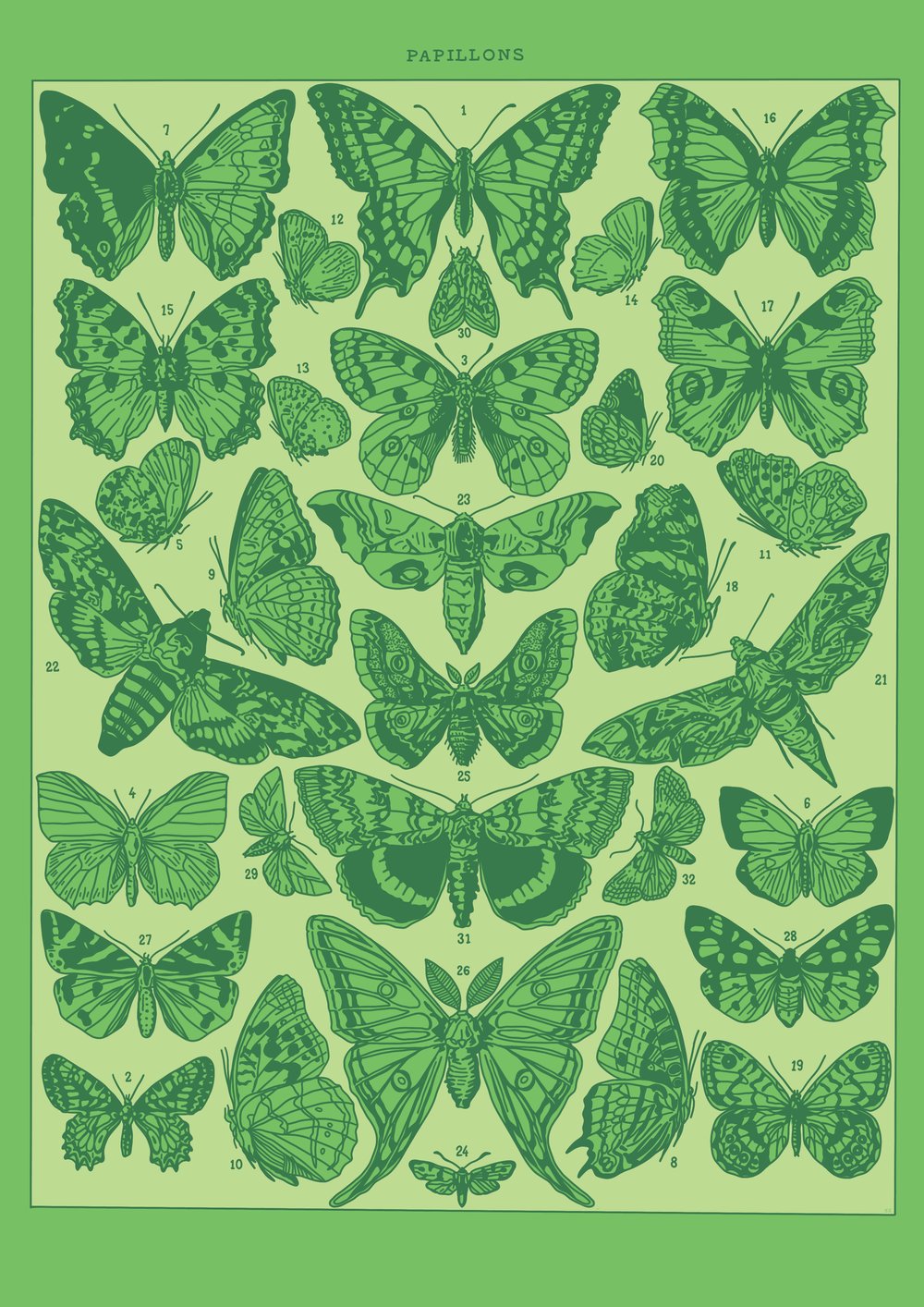 Image of Green papillons 🦋💚