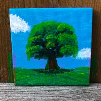 Image 2 of Tree In Spring 3