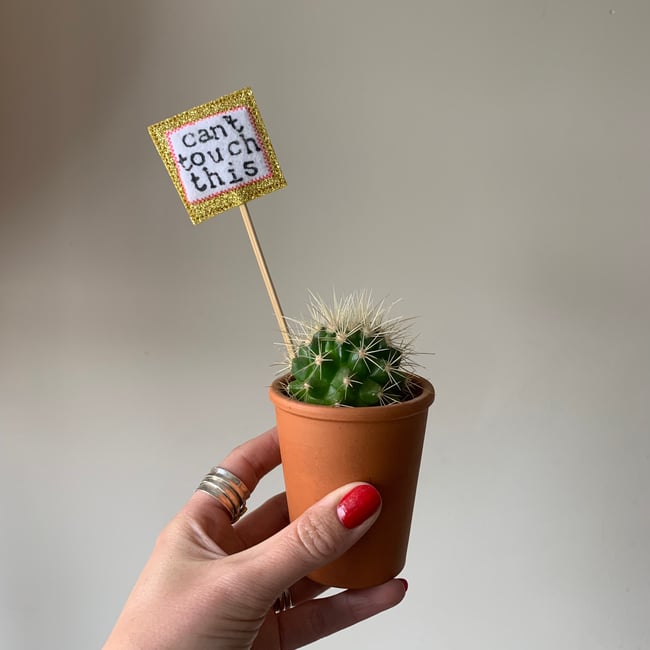Cheeky Plant Stakes / Labels