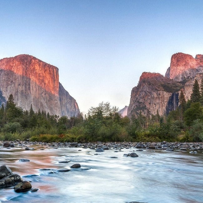 Yosemitea National Park Jasmine Green Tea 