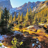 Rocky Mtn National Park Mint Green Tea 