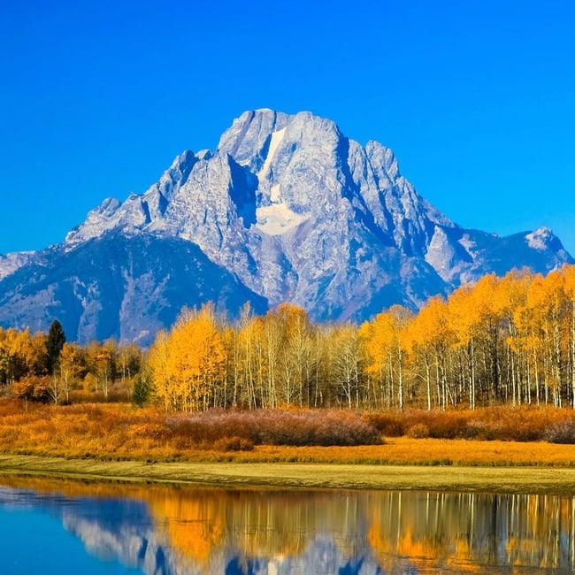 Grand Teton National Park Wild Berry Green Tea 
