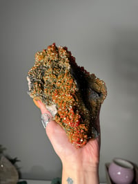 Image 1 of XL SHIMMERY HALLOWEEN ORANGE VANADINITE SPECIMENS FROM MOROCCO