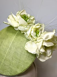 Image 2 of Green percher 