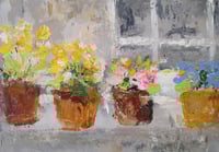 Windowsill Pots