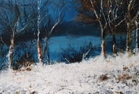 Winter Snow