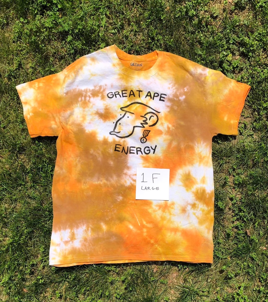 Image of Great Ape Energy Tie-Dye T-Shirt (Set 1)