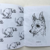 Image 4 of Dogs to Know - zine