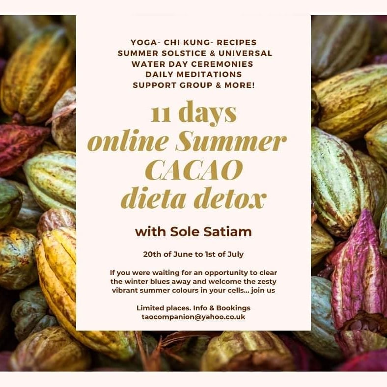 Image of Online Summer CACAO dieta detox