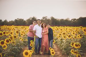Image of Sunflower - Family Mini Sessions