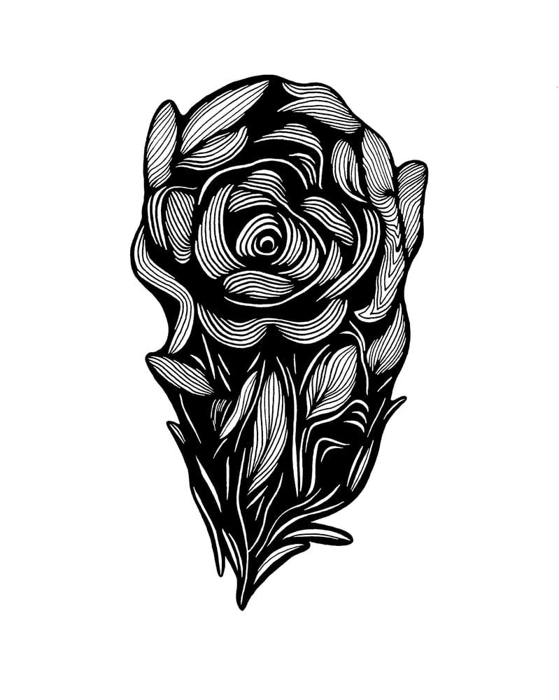 Image of Rose print