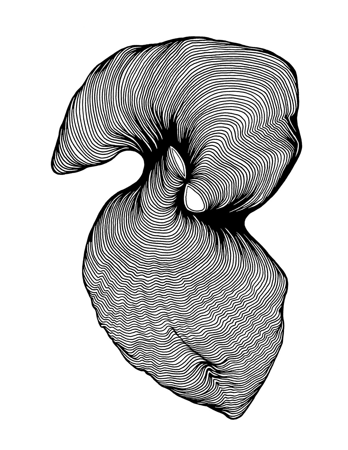 Image of Lungs print