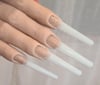 2XL COFFIN TIPS (No C Curve, 600 pcs) 