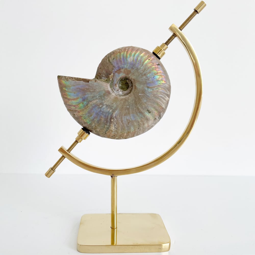 Image of  Iridescent Rainbow Ammonite No.53 + Brass Arc Stand