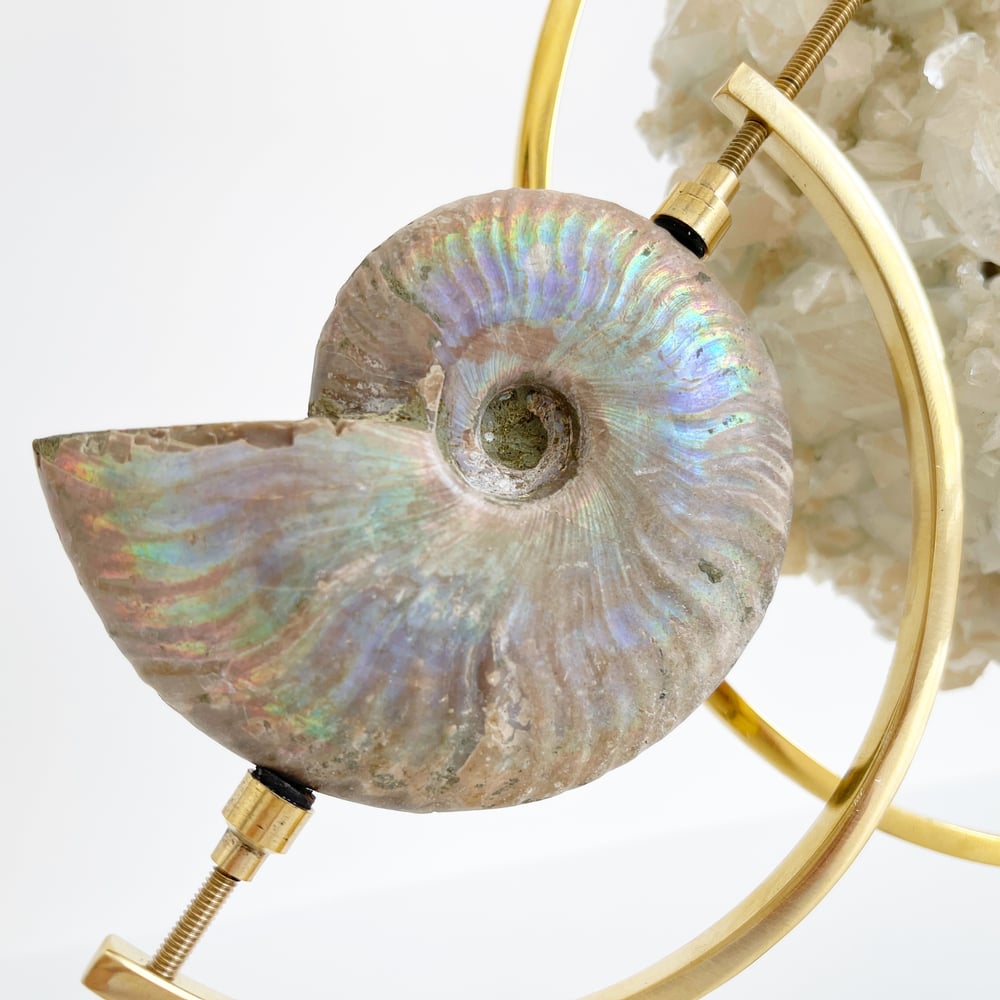 Image of  Iridescent Rainbow Ammonite No.53 + Brass Arc Stand