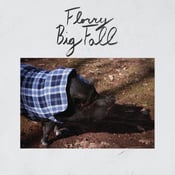 Image of Florry - 'Big Fall' LP (12XU 131-1)