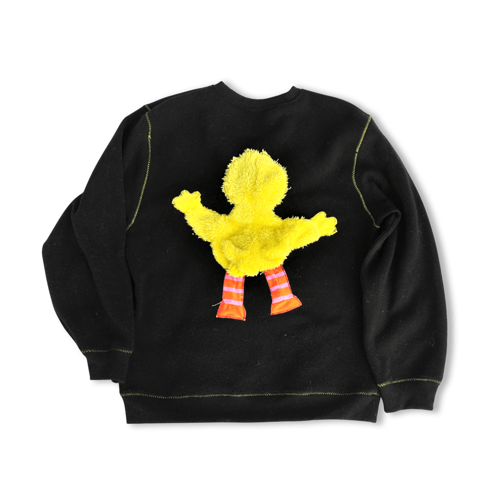 BIG BIRD JUMPER