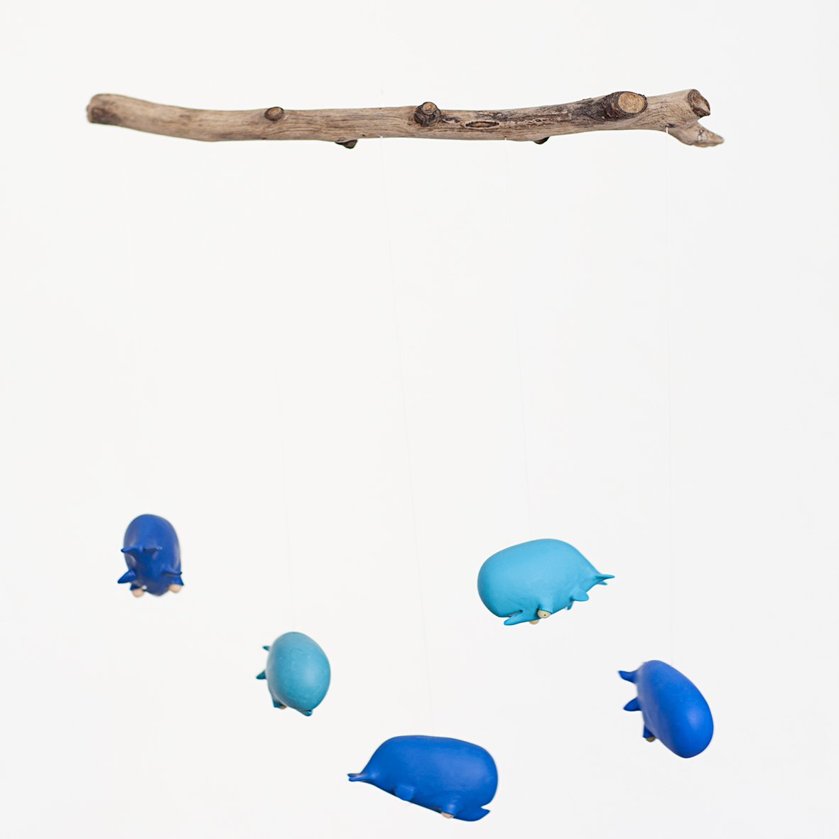 Image of Les baleines bleues