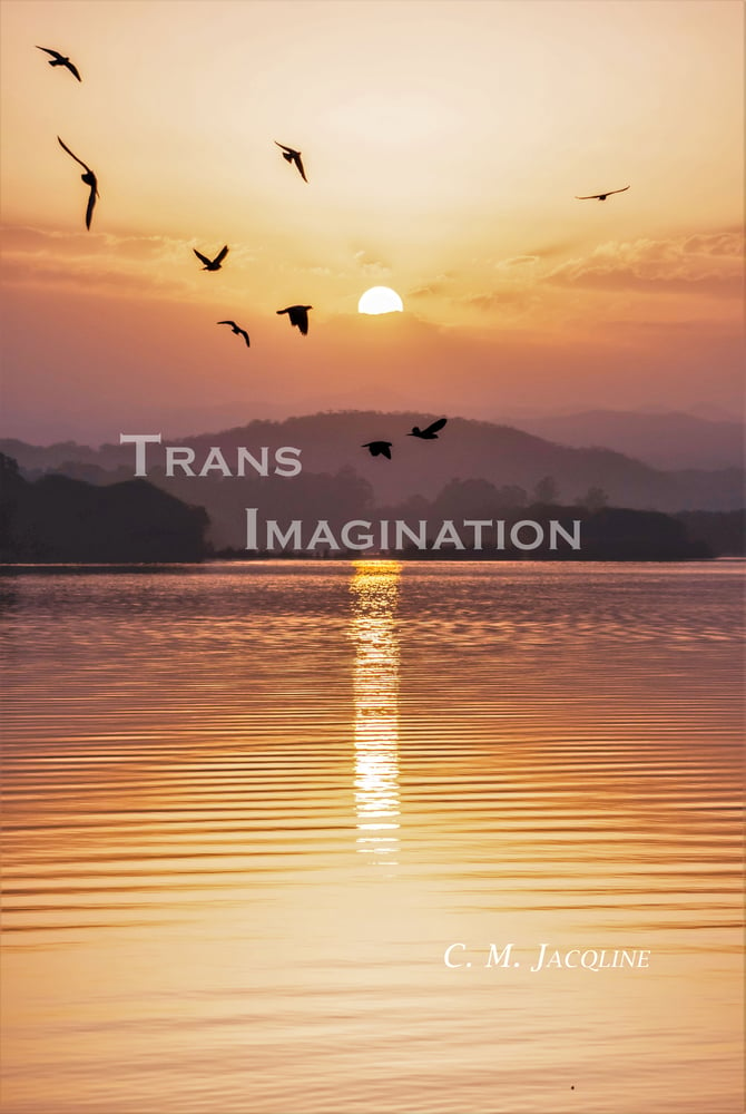 Image of Trans Imagination
