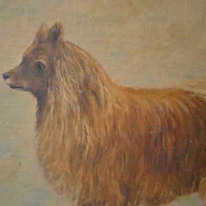 Image of Early 20th Century, Belgian, Naive Portrait of a Dog