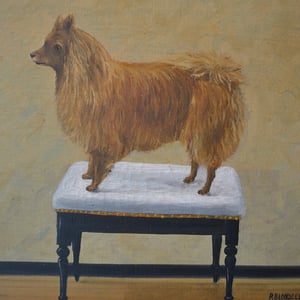 Image of Early 20th Century, Belgian, Naive Portrait of a Dog