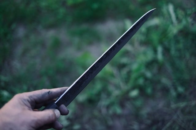 Image of Sujihiki 315