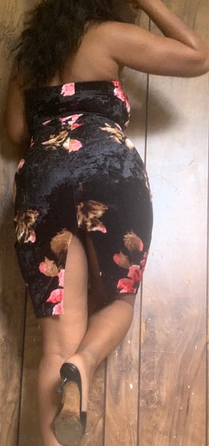 Image of Velvet Rose 