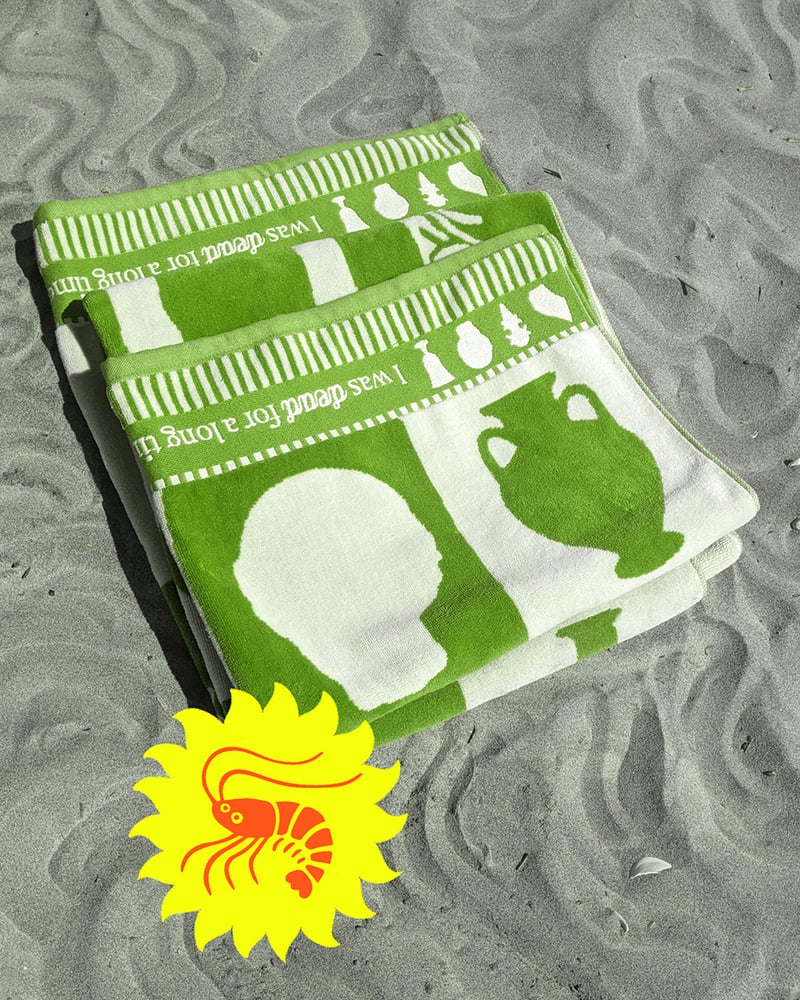 Image of ☀️Beach Towel ☀️ <s>$65</s>