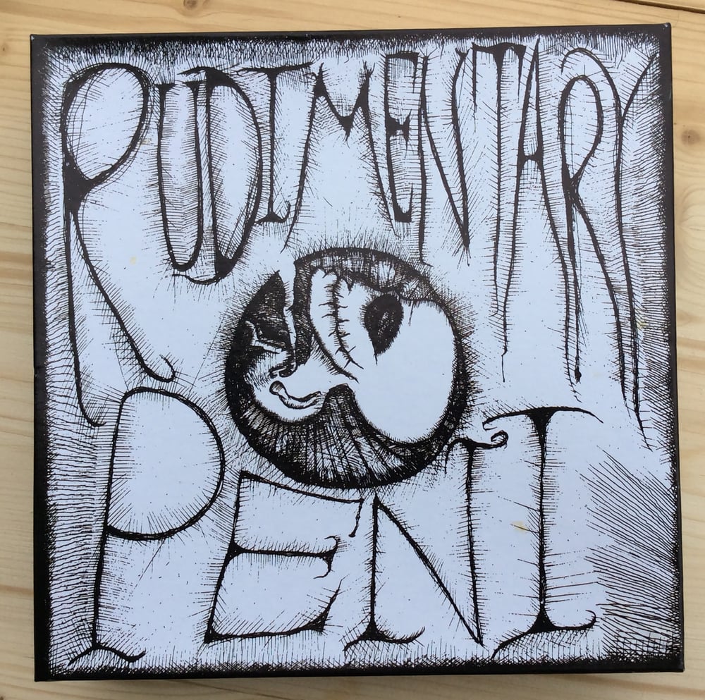 Image of RUDIMENTARY PENI - s/t EP puzzle