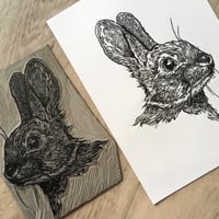 Image 4 of Rabbit no.1