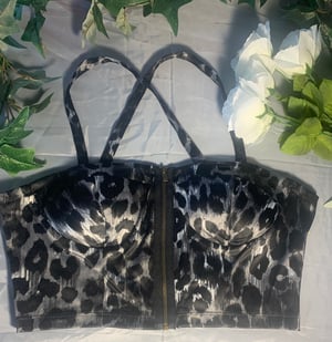 Image of Leopard Nights 