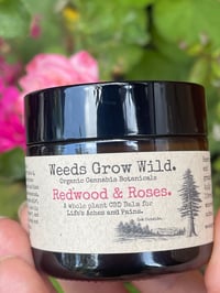 Image 5 of Redwood and Roses Bundle