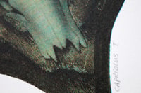 Image 2 of Capreolus Capreolus I