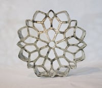 Image 4 of D. Celeste