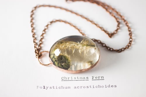 Image of Christmas Fern Fiddlehead (Polystichum acrostichoides) - Copper Plated Necklace #1