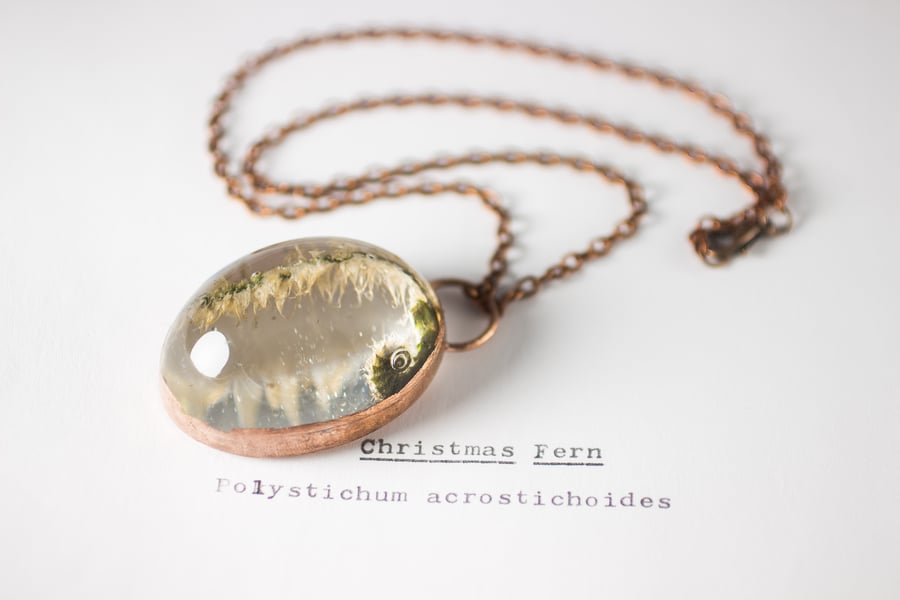 Image of Christmas Fern Fiddlehead (Polystichum acrostichoides) - Copper Plated Necklace #3