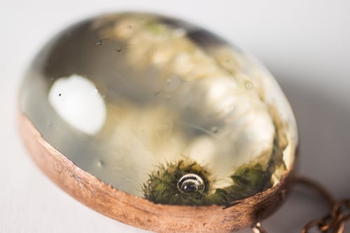 Image of Christmas Fern Fiddlehead (Polystichum acrostichoides) - Copper Plated Necklace #3