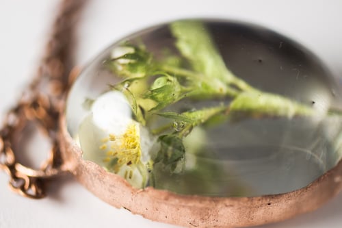 Image of Wild Strawberry (Fragaria virginiana) - Copper Plated Necklace #5