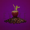 BLACK RASPBERRY & PEPPERCORN