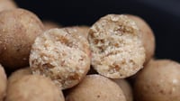Maple Cream Nut Boilies