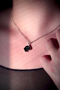 Image 4 of Metamorfosi Limited Edition