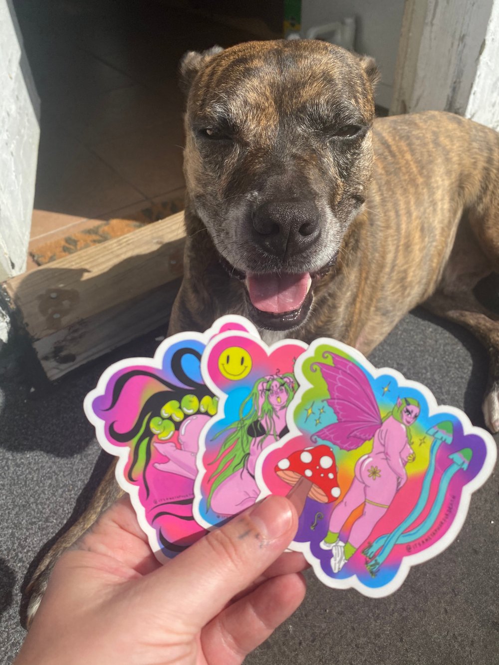 Sticker Pack