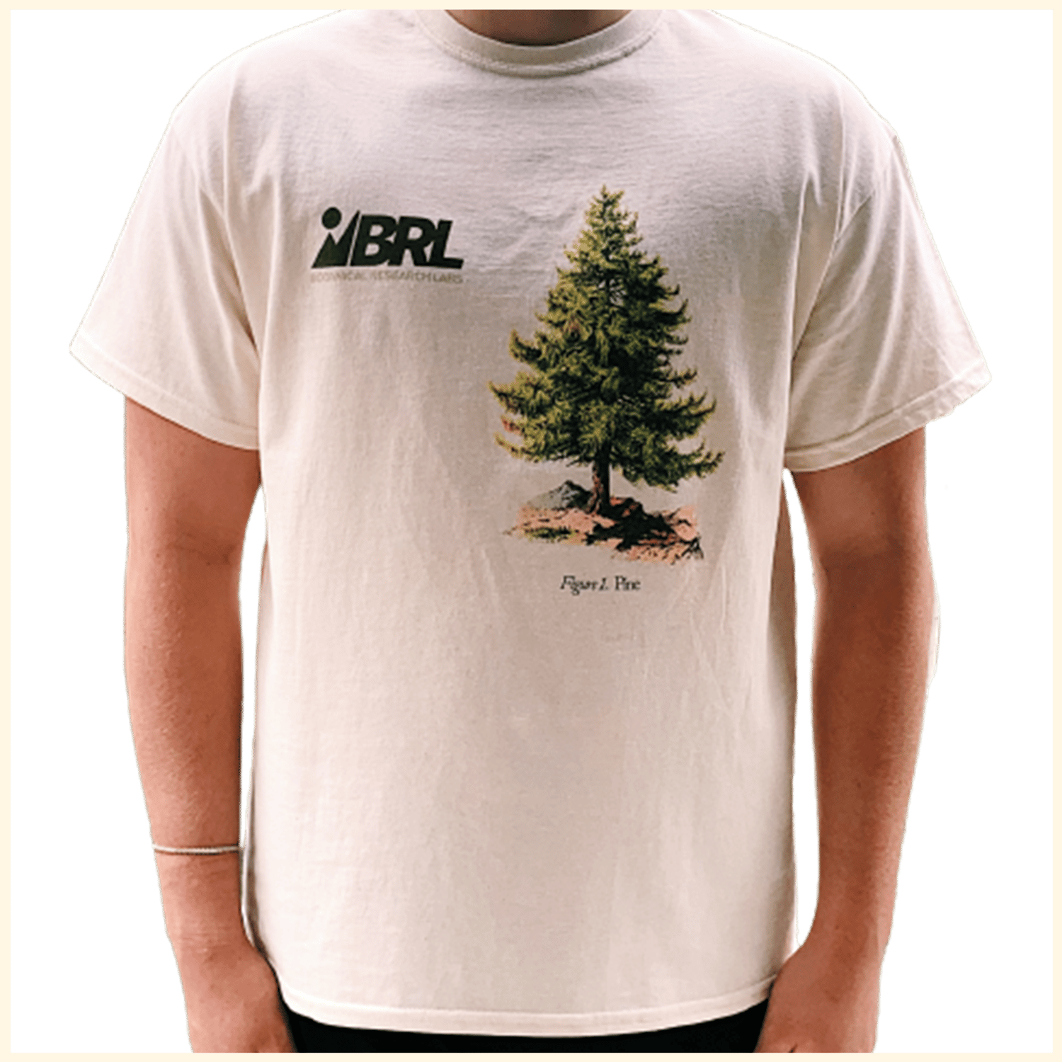 Pine Tee 